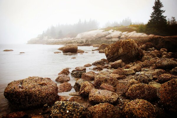 Mattina nel New England sulla spiaggia rocciosa. Leggera nebbia mattutina sulla costa inglese