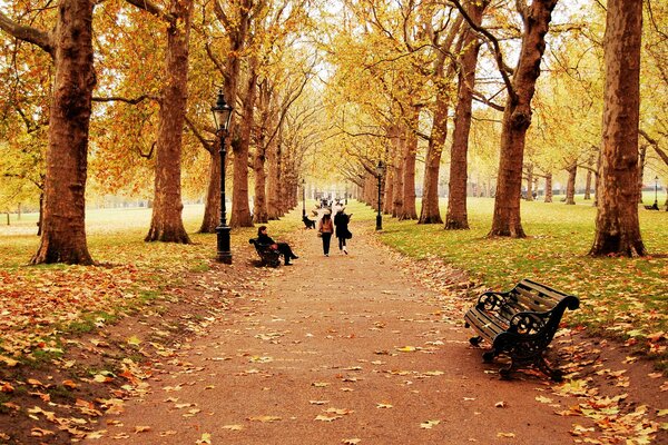 Menschen gehen im Herbstpark spazieren