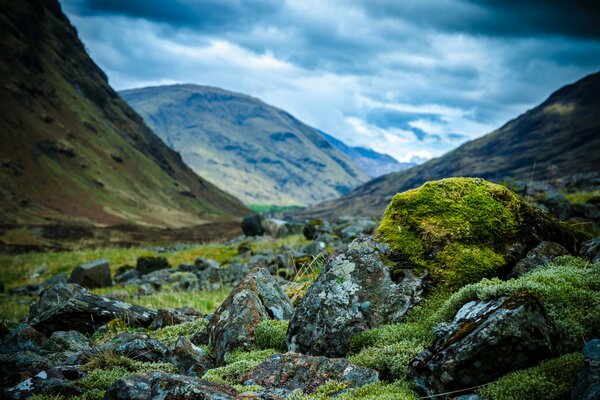 Scottish mountain rocks covered with moss