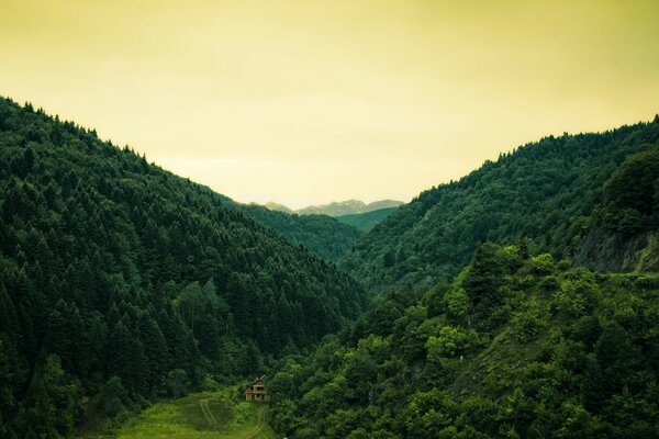 A house in the middle of the forest hills