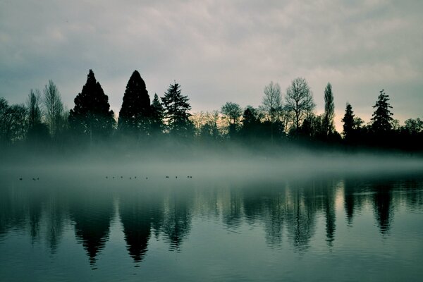 Dawn haze of fog over the river