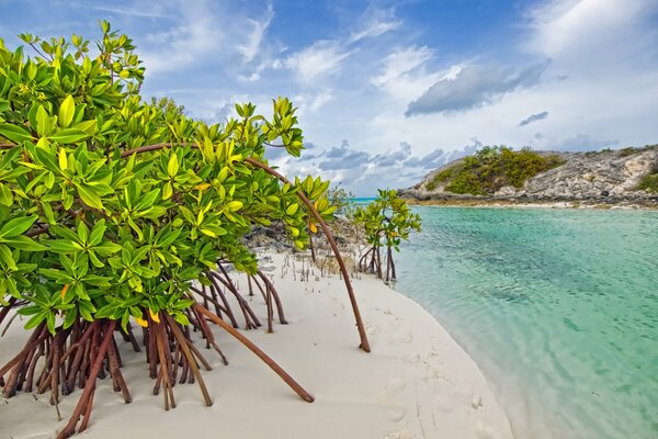 Spiaggia bianca alle Bahamas