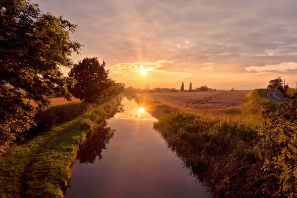 Reflet du coucher de soleil dans la rivière près de la forêt