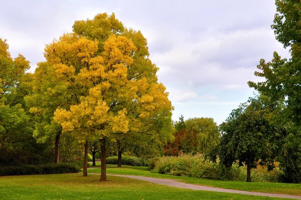 Herbstliche Schönheit im Park