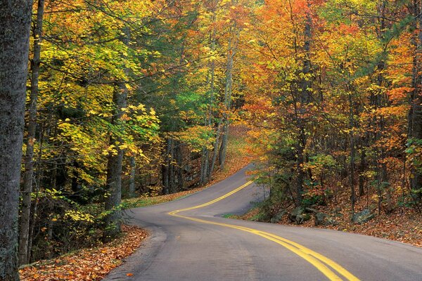 Longue piste d automne