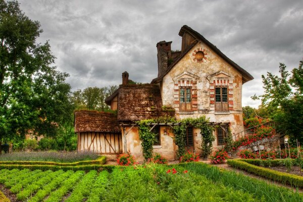 An old house in flowers