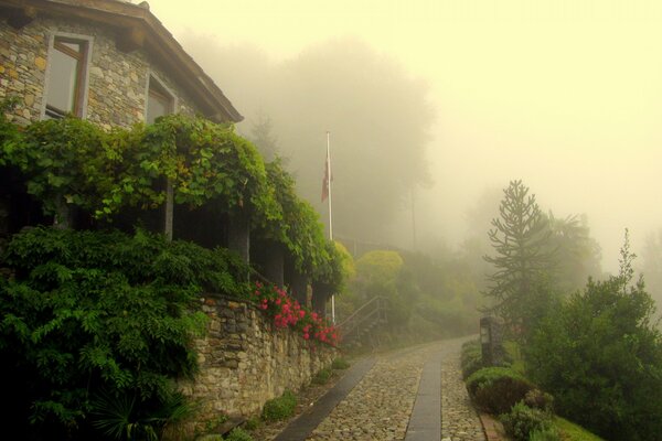 Morgenstraße an einem nebligen Morgen