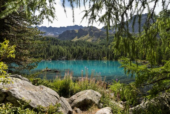 Lago azul en las montañas