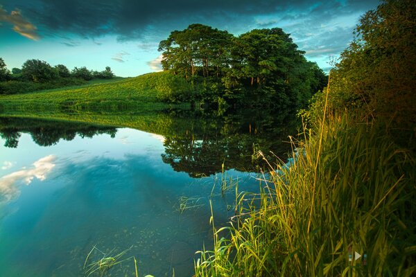 Schöne Natur im Sommer am Fluss