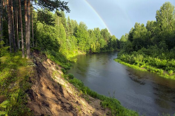 Rainbow over the river in the forest