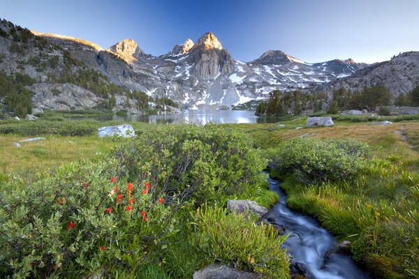 A stream running from the mountains among the grass