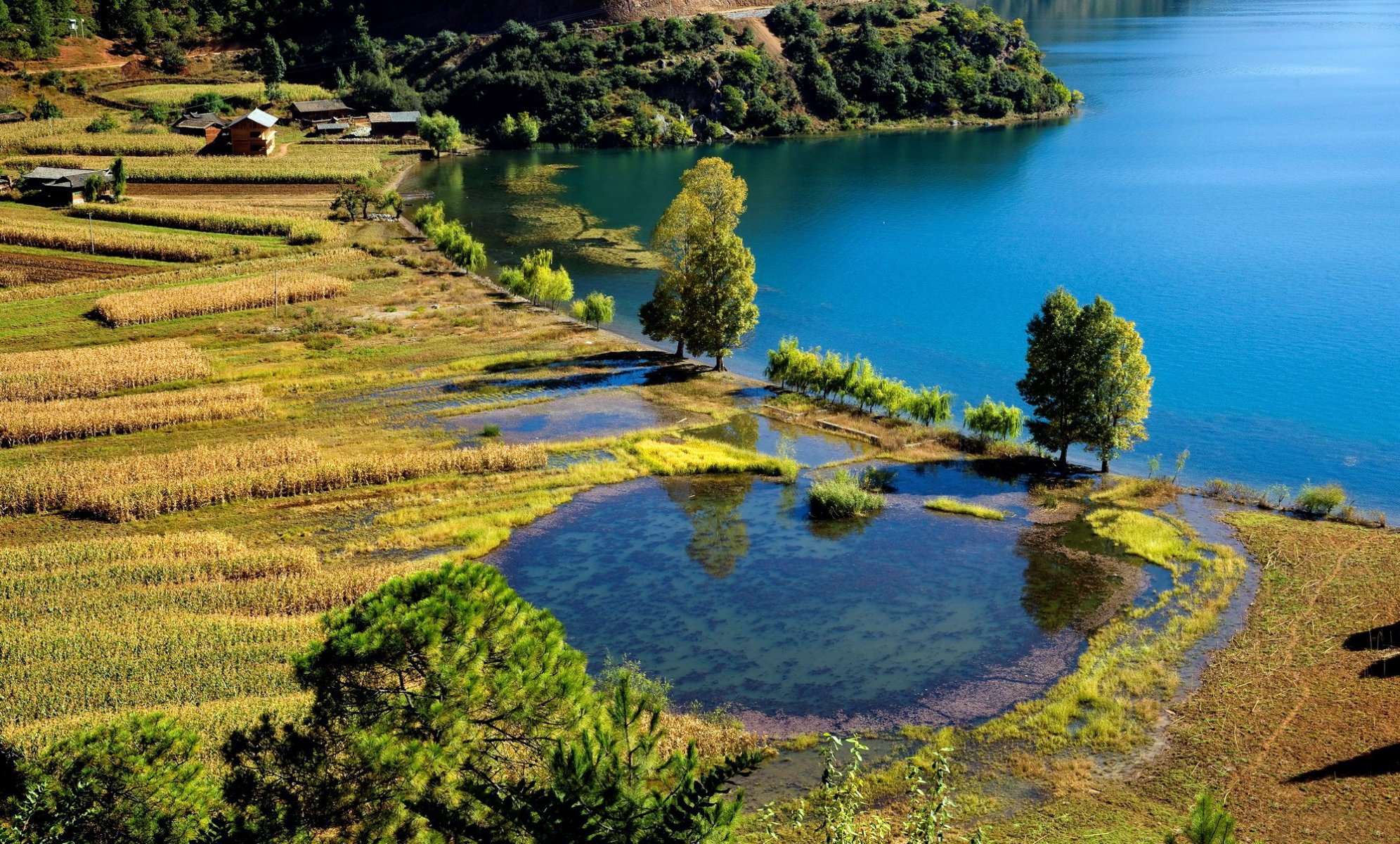 see felder ernte aussaat bäume grün zuhause dorf bauernhof schönheit