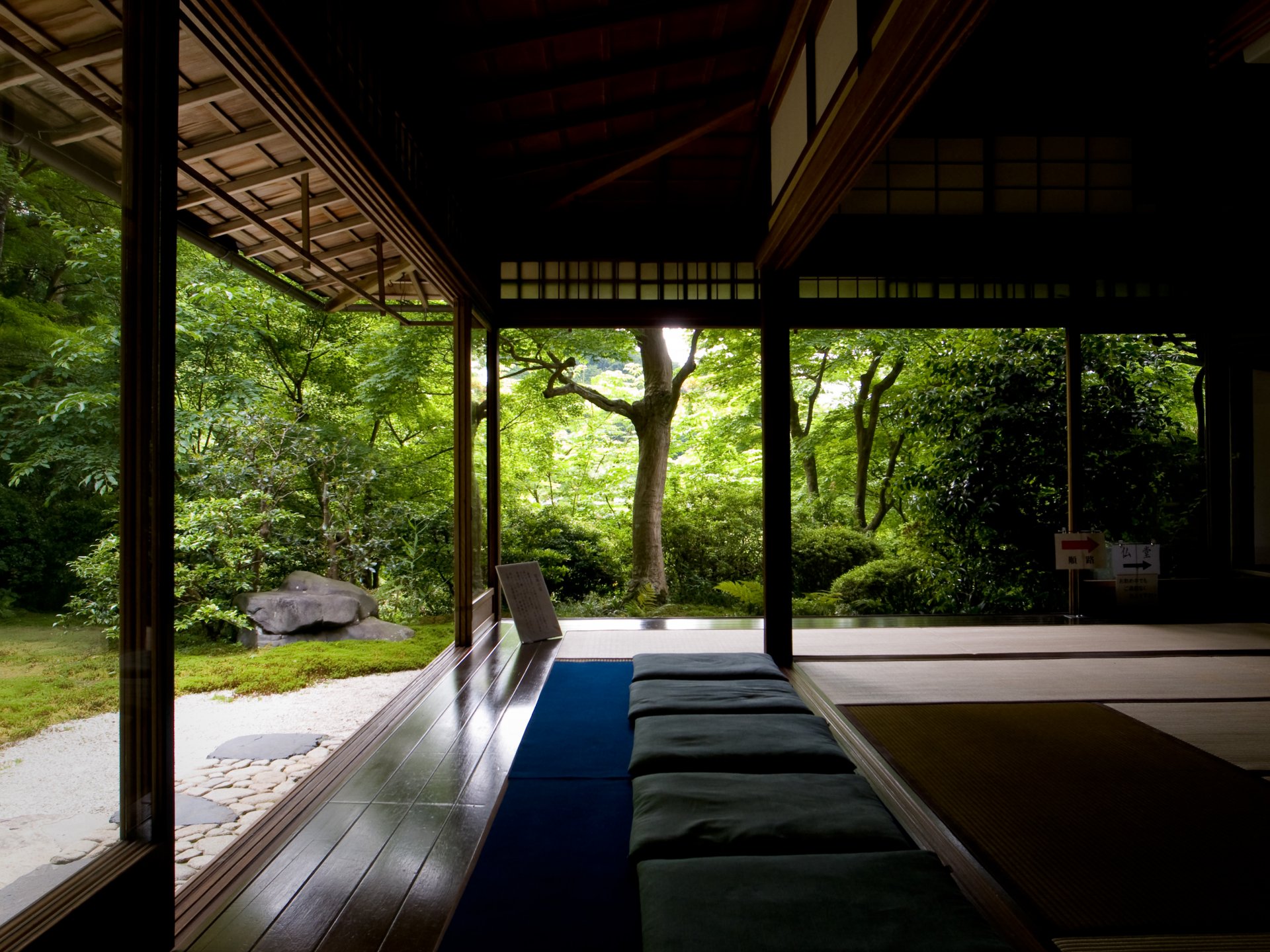 bosque templo árboles zen silencio relax meditación búsqueda hogar