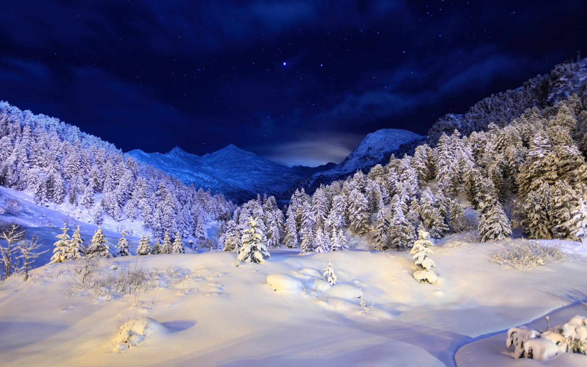 hiver neige montagnes arbres sapins nuit bleu ciel