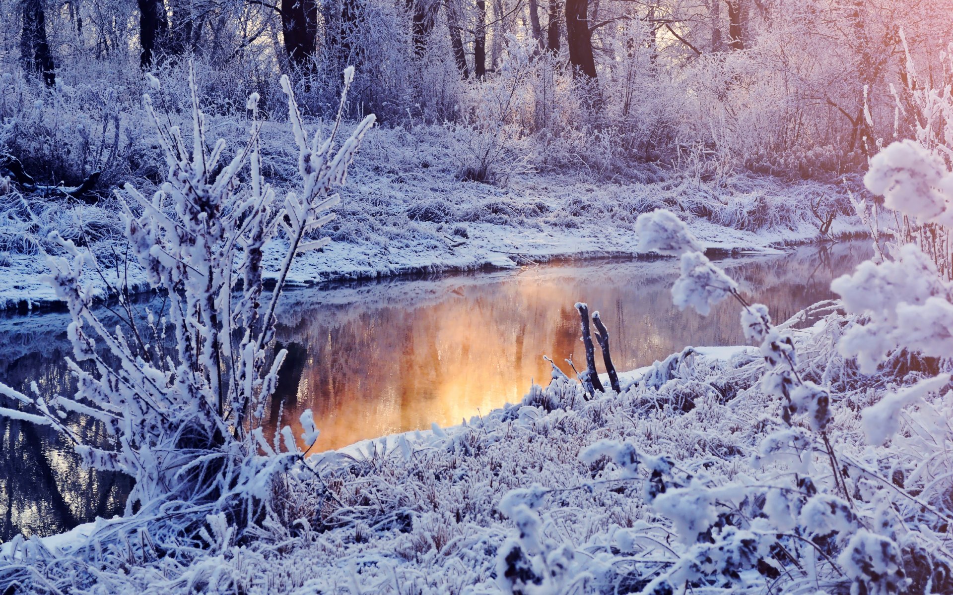 hiver neige lac