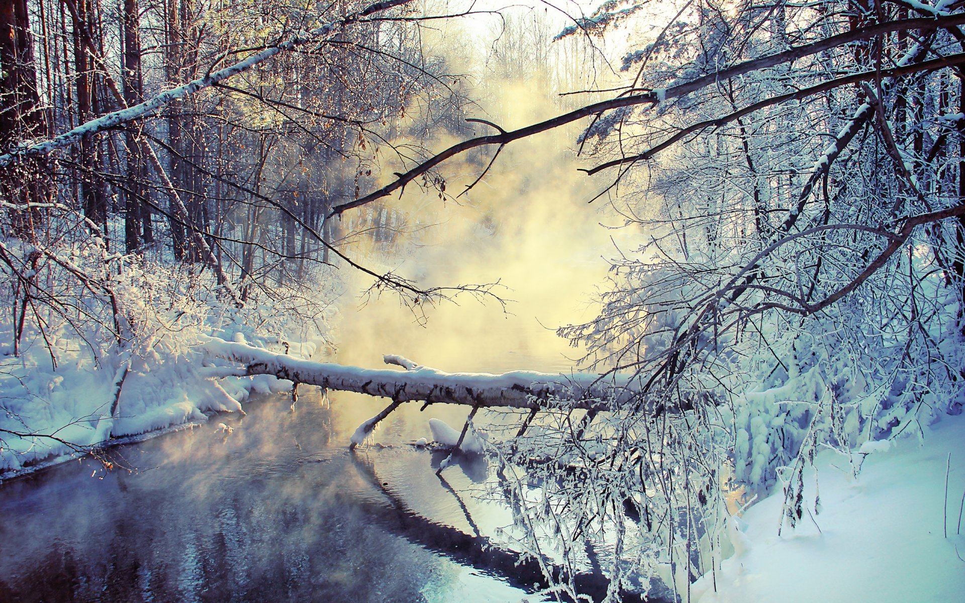 winter lake snow pairs branche