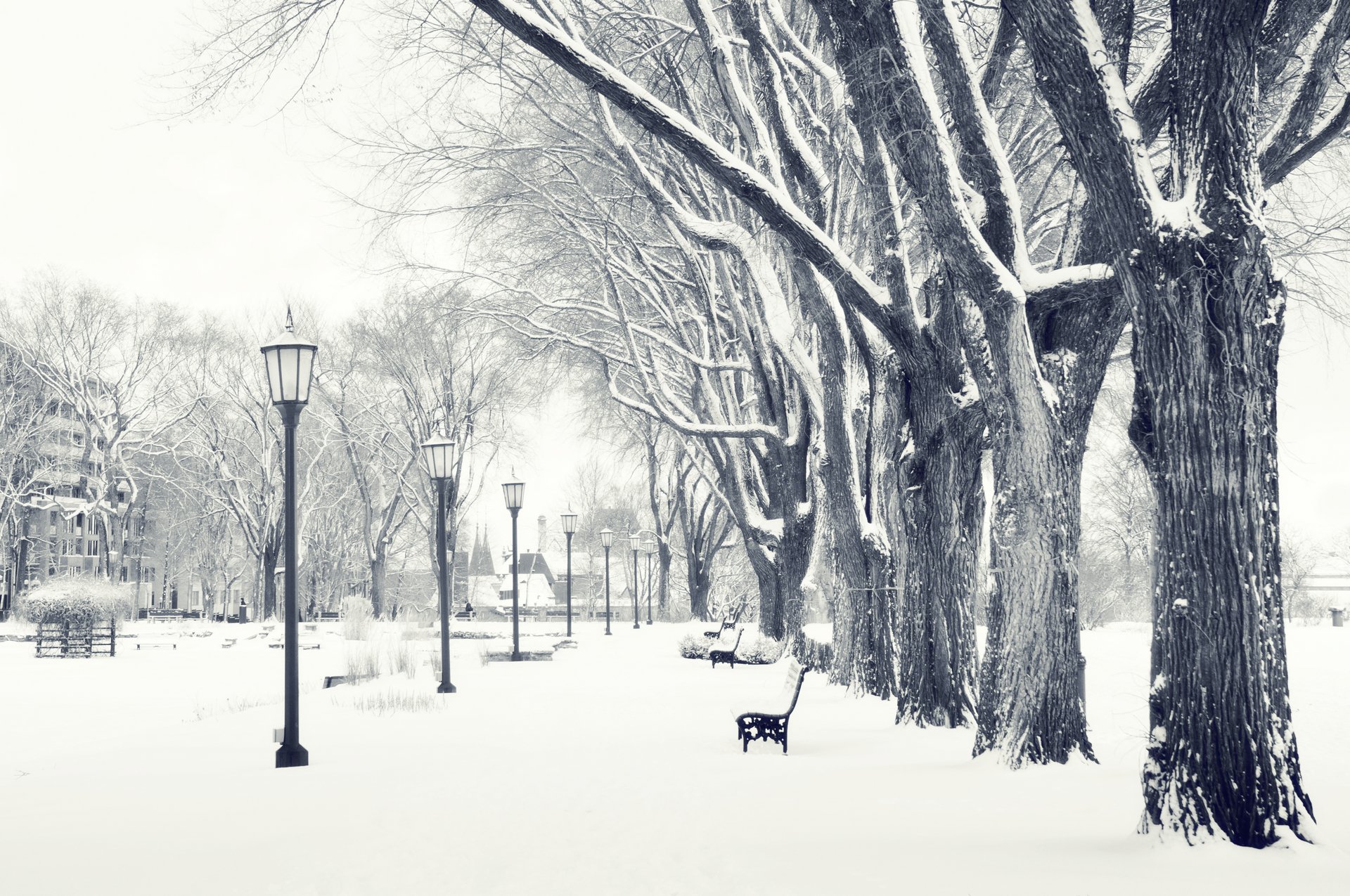 park latarnia sklep zima śnieg