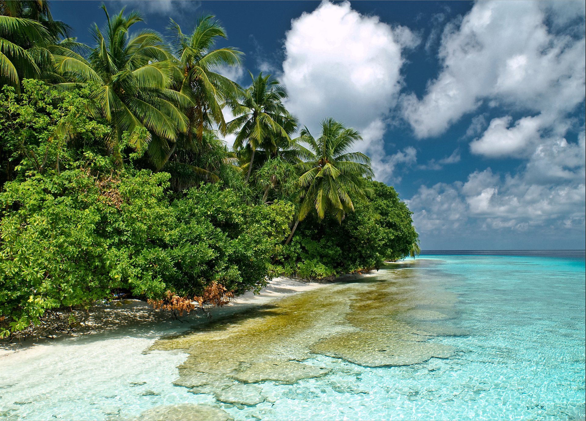 natura maldive male del sud kaafu oceano indiano mare acqua trasparenza cielo palme cespugli