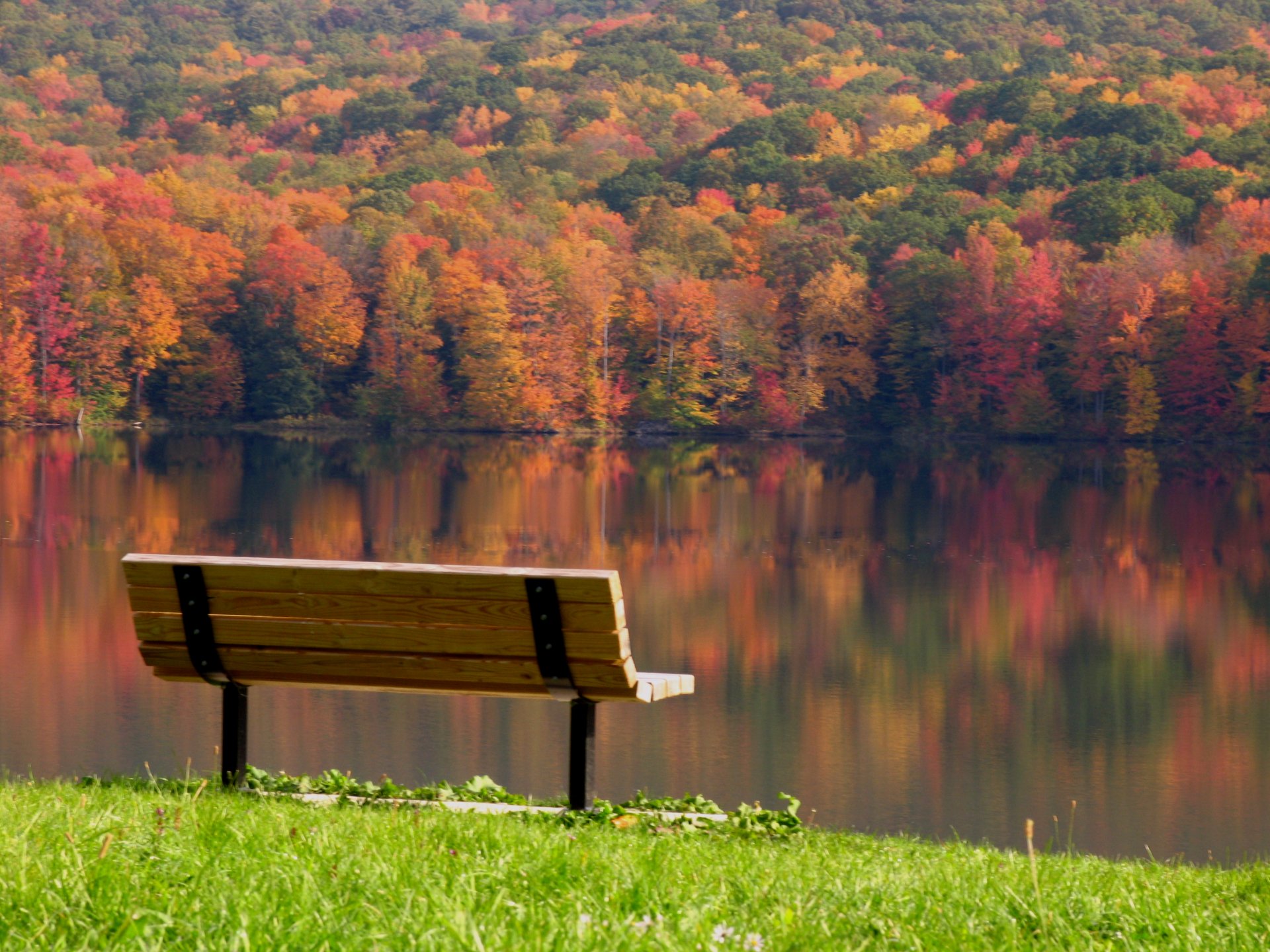 herbst bäume bunt blätter tag bank bank bank fluss reflexion landschaft gelassenheit