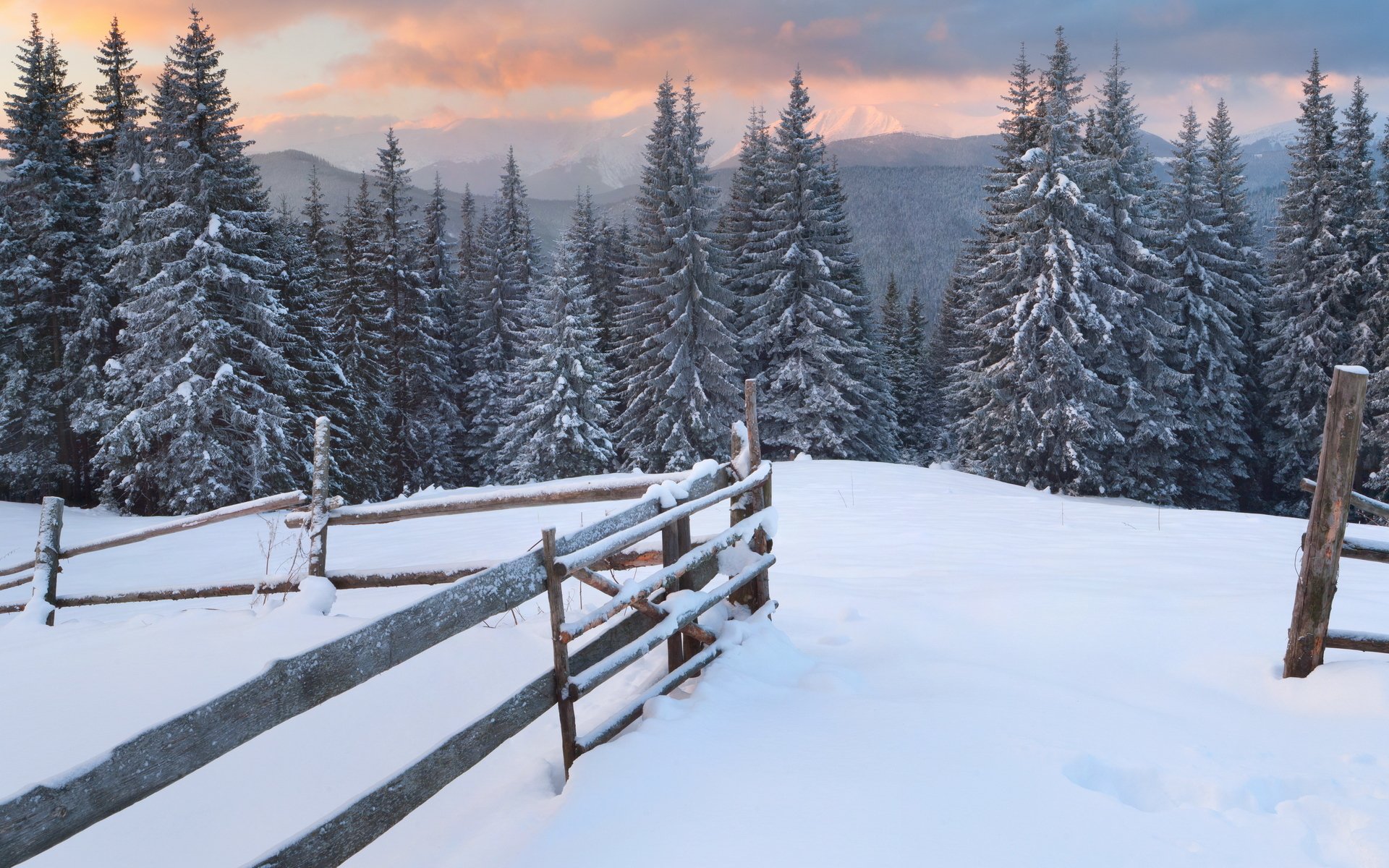 hiver soirée neige pistes montagnes forêt arbres arbres de noël clôture