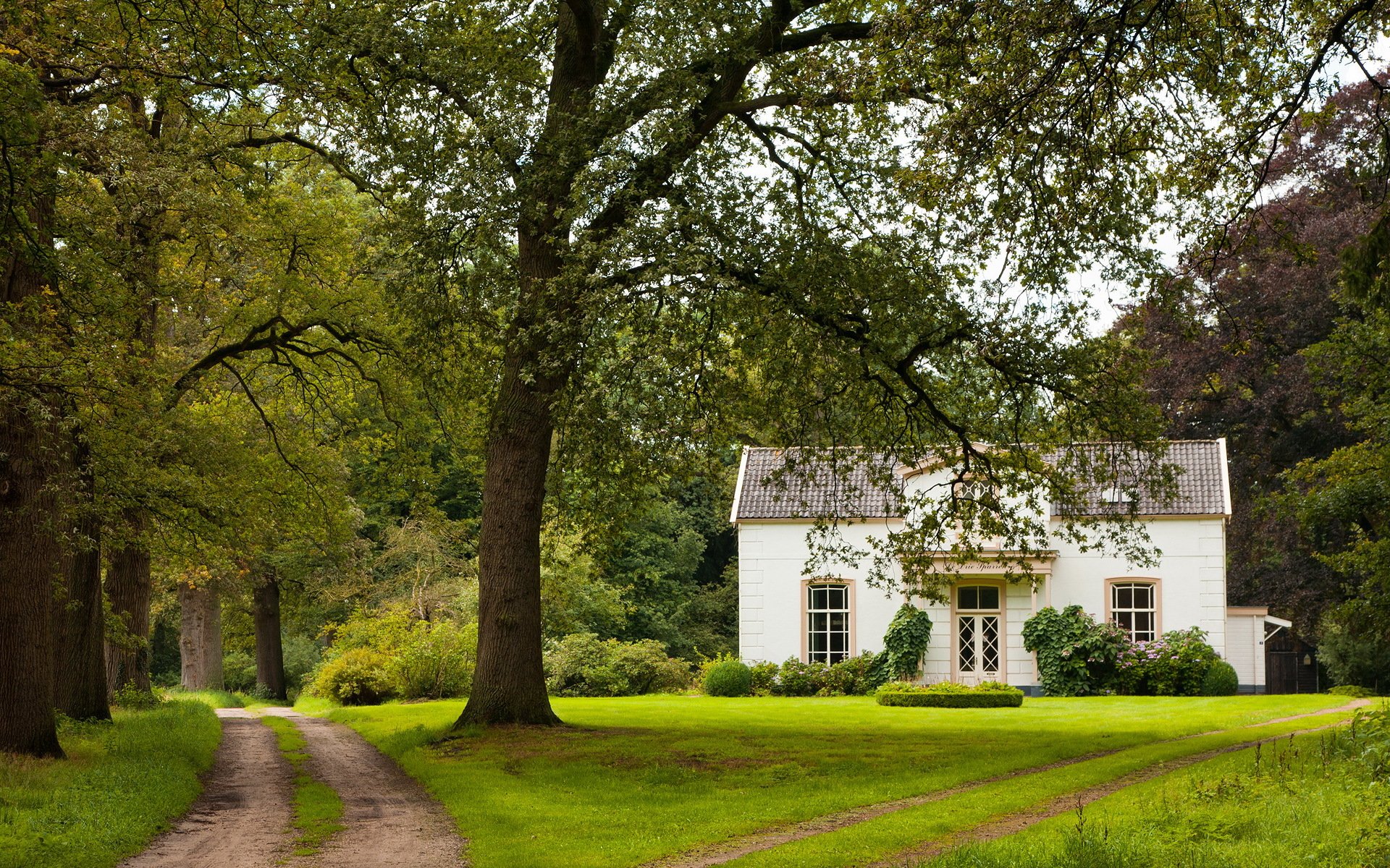 casa camino árboles