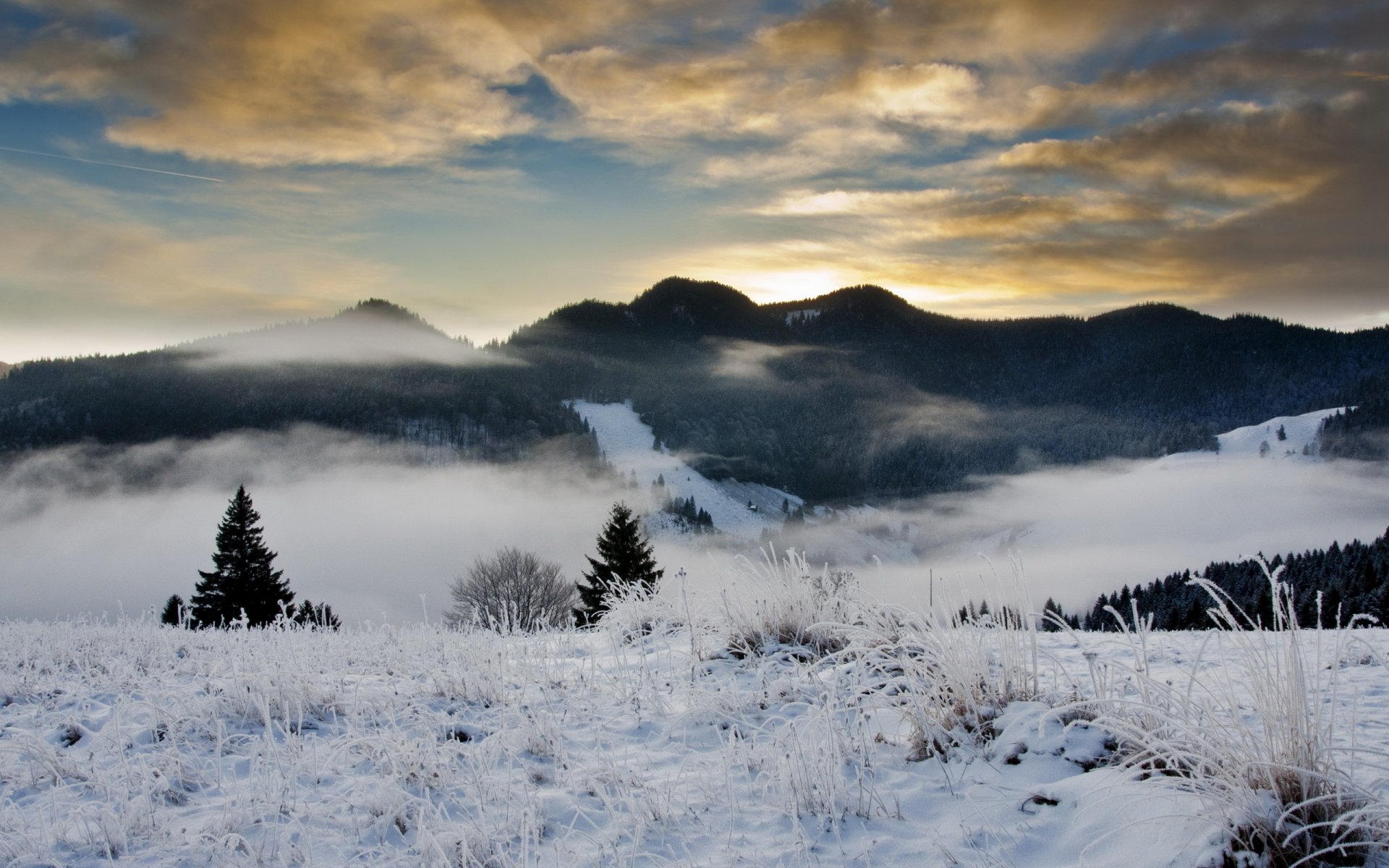 hiver neige givre collines forêt arbres sapins soir ciel nuages brume