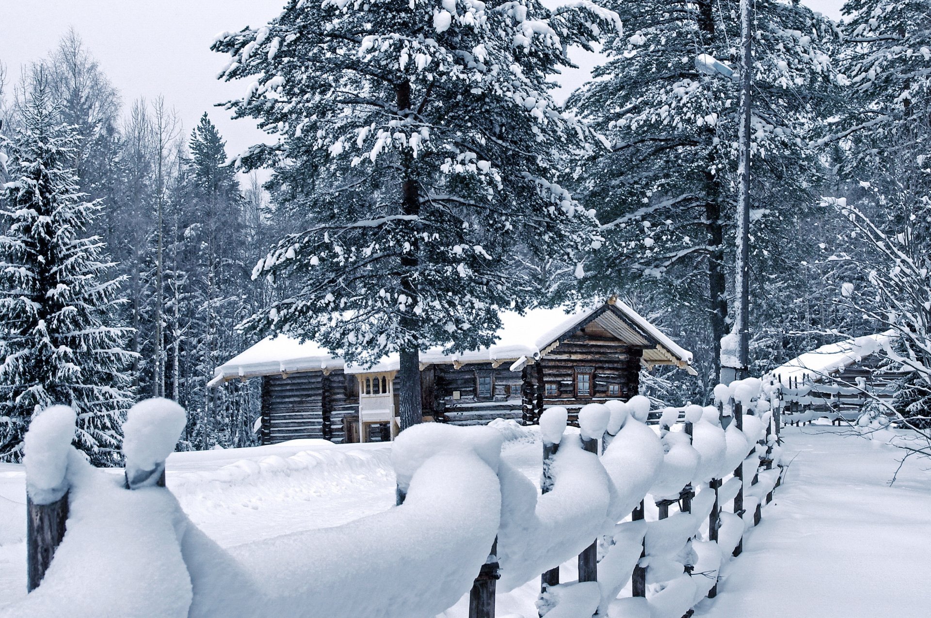 winter weather snow drifts pine fence house