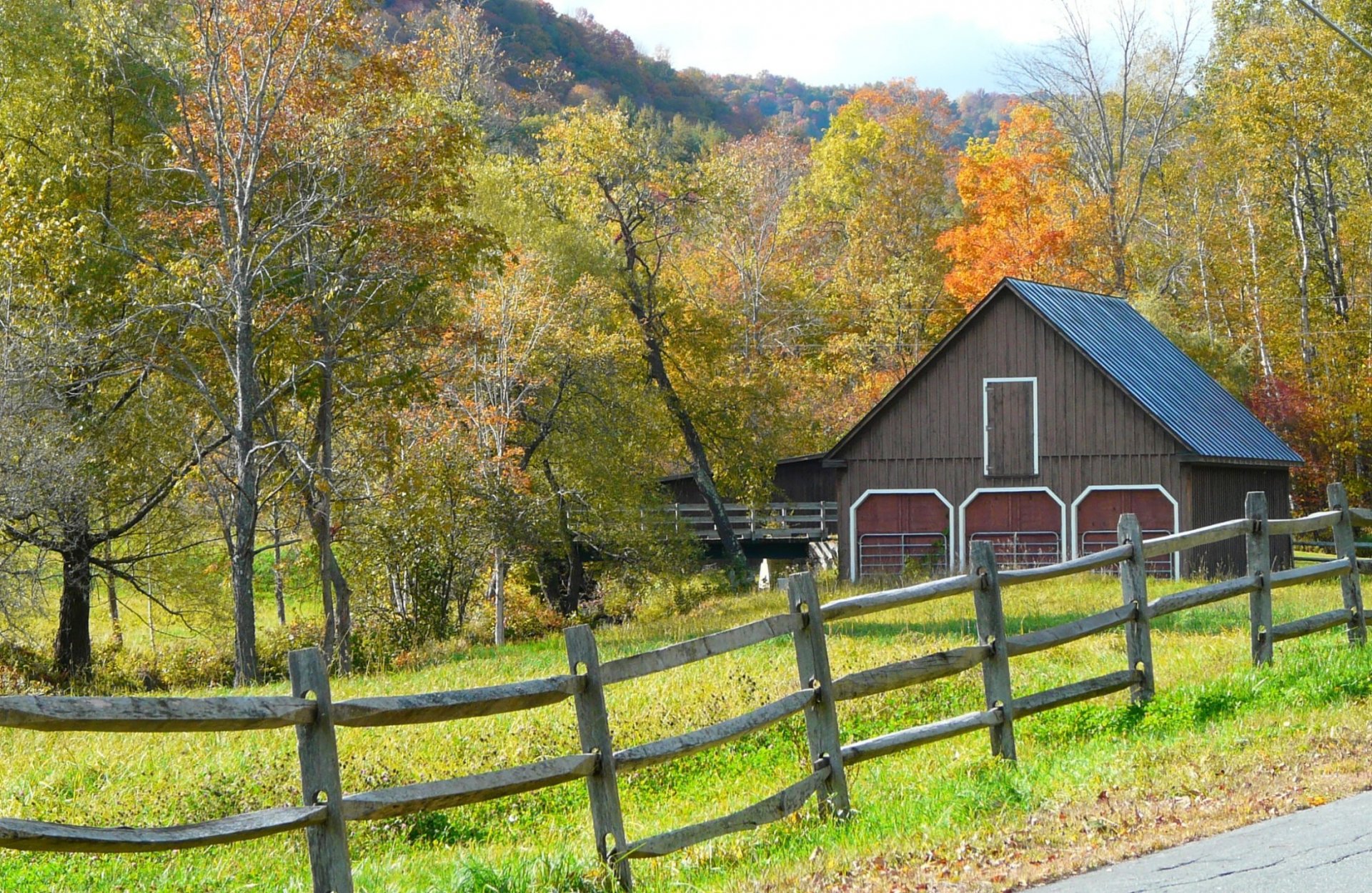 autumn tree house grass fence