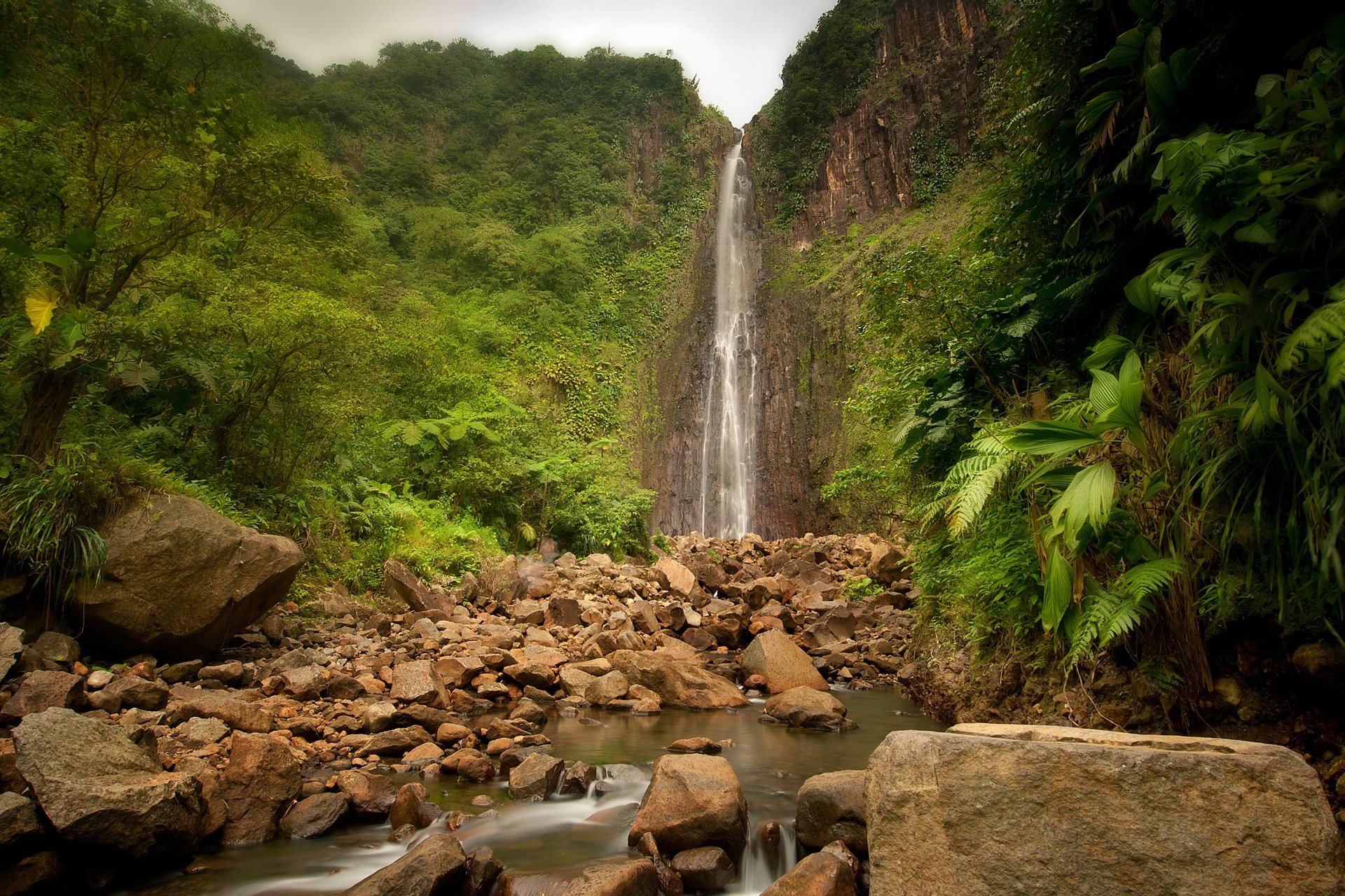 natura cascata fiume pietre giungla