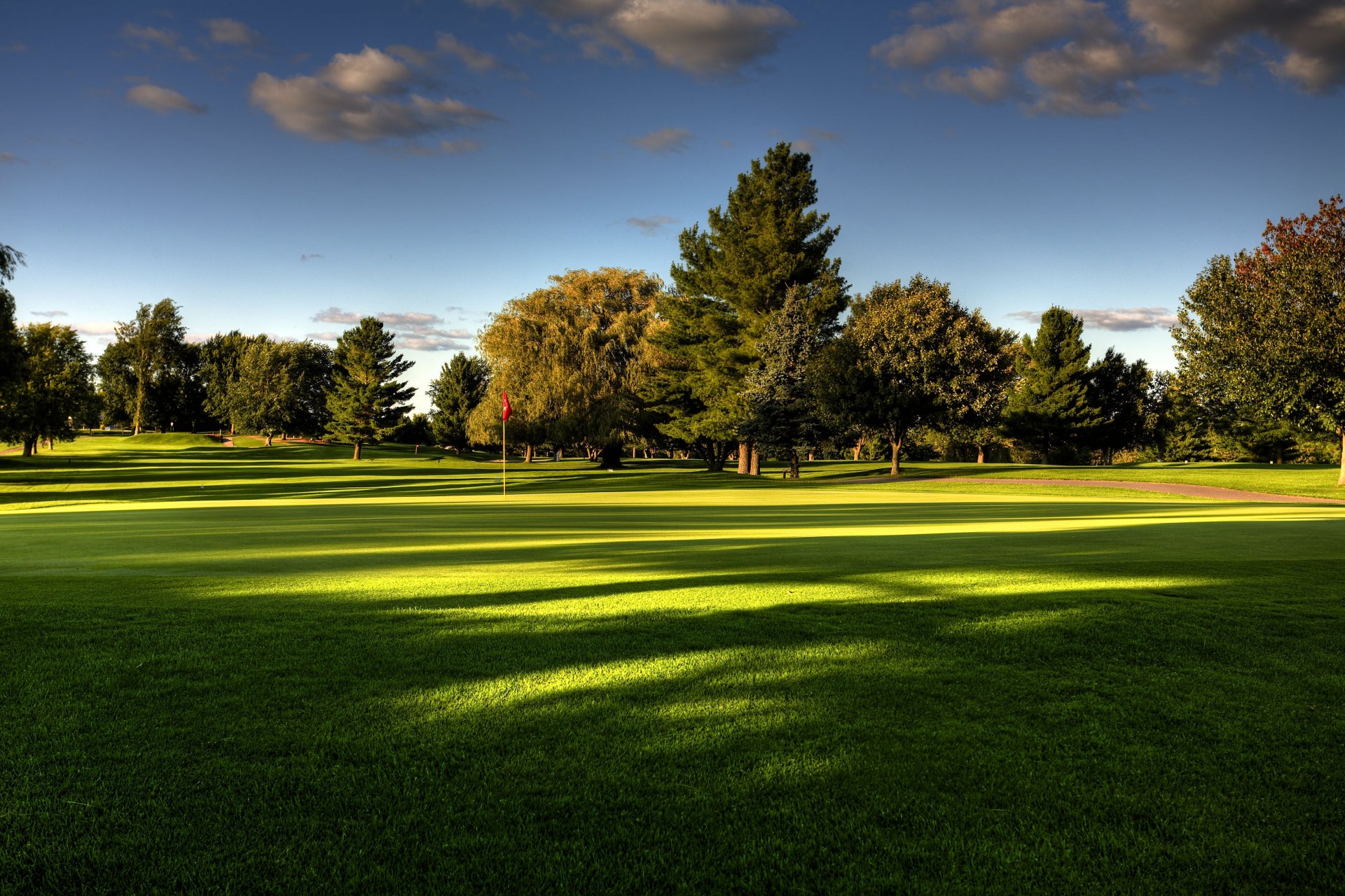 naturaleza campo de golf árboles hierba cielo verano