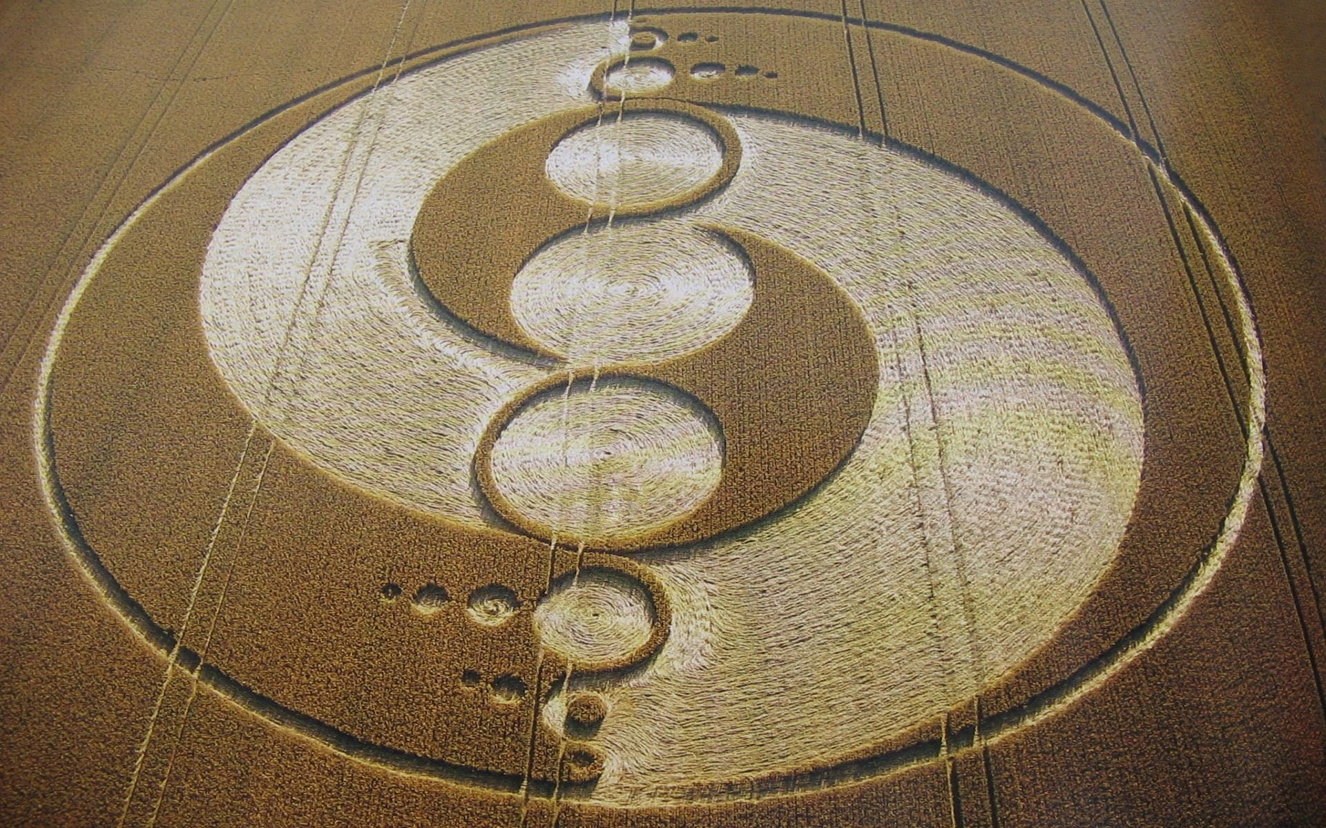 crop circles ufo the field want to believe