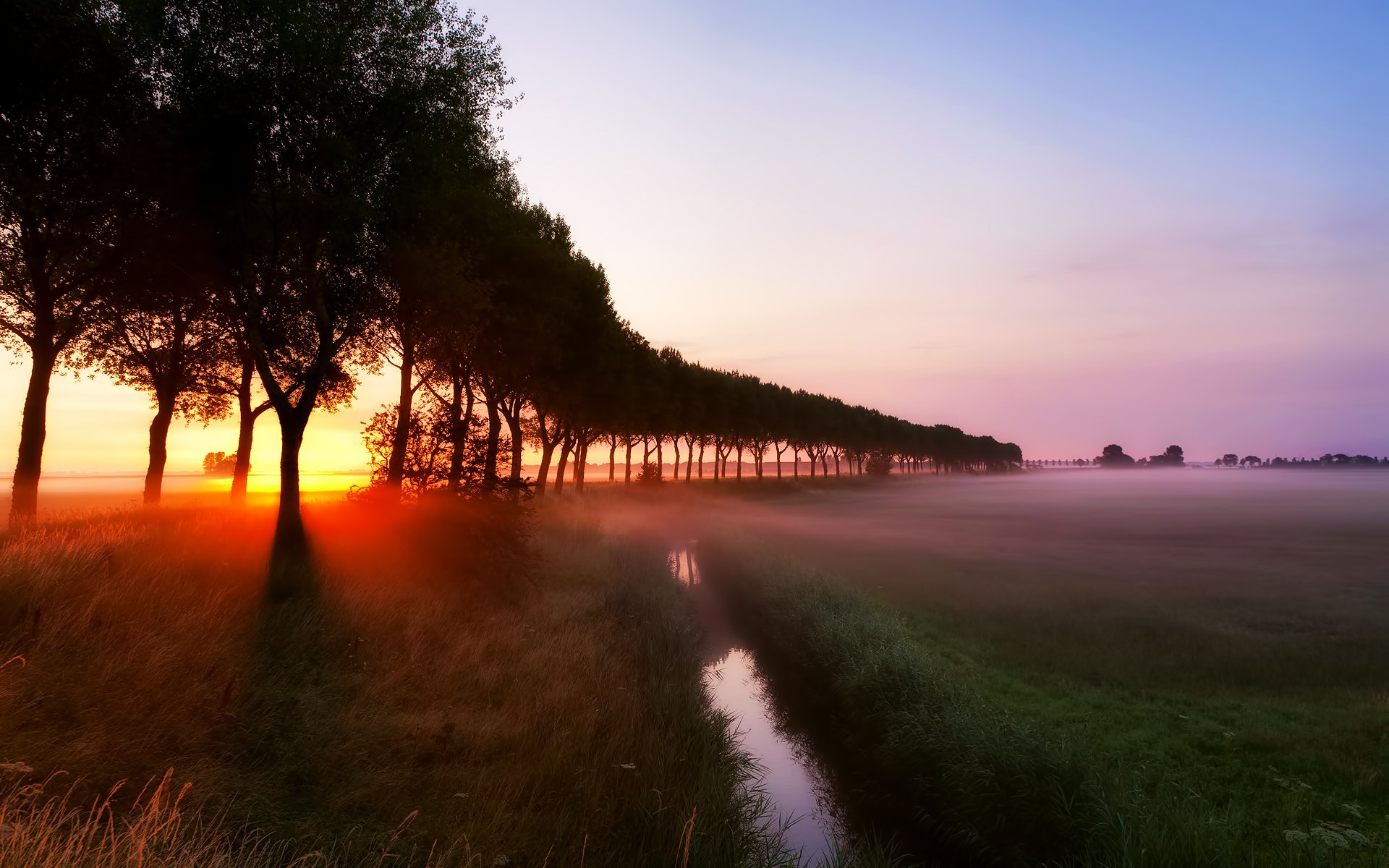 alba raggi nebbia ruscello erba alberi