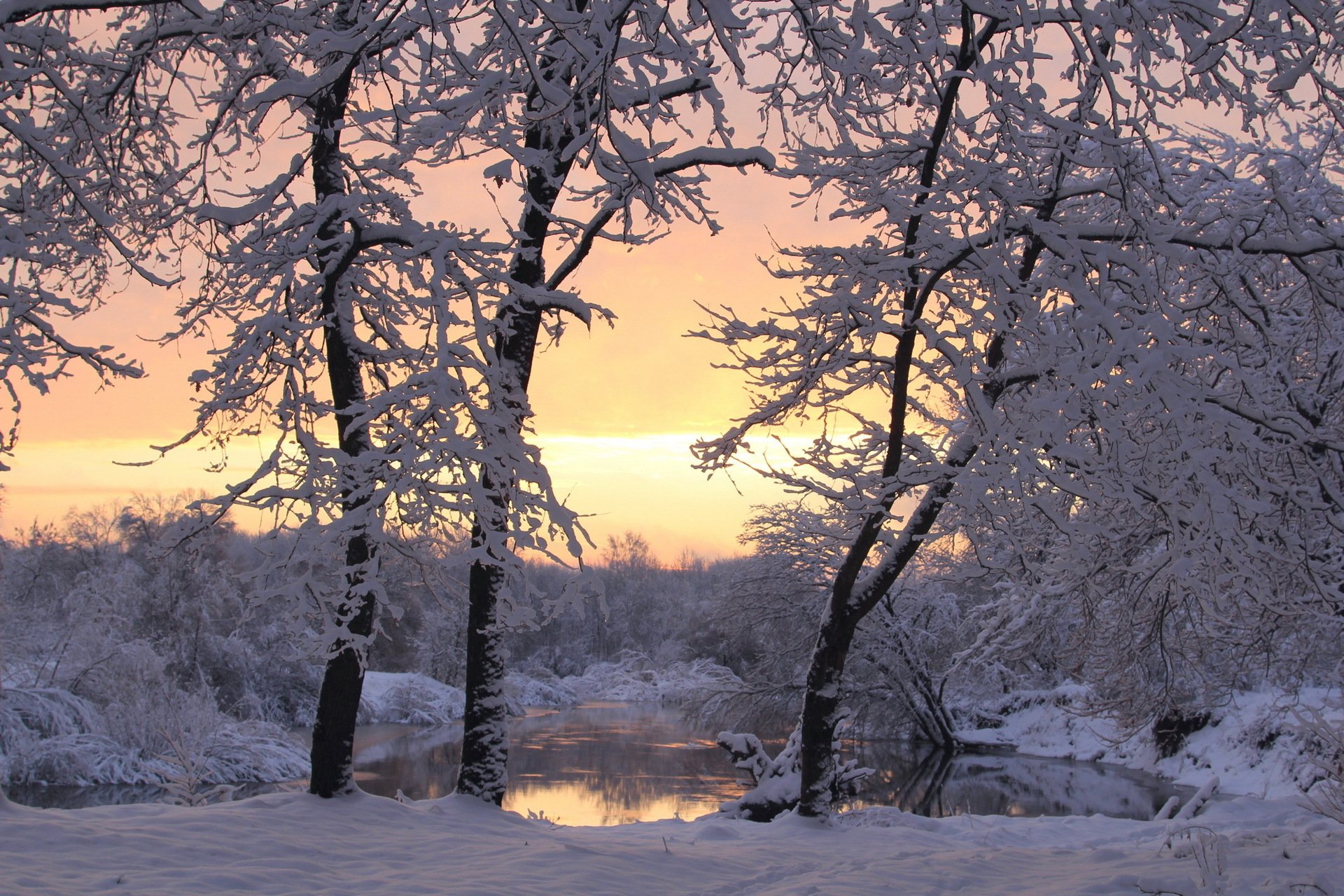 inverno alberi neve tramonto