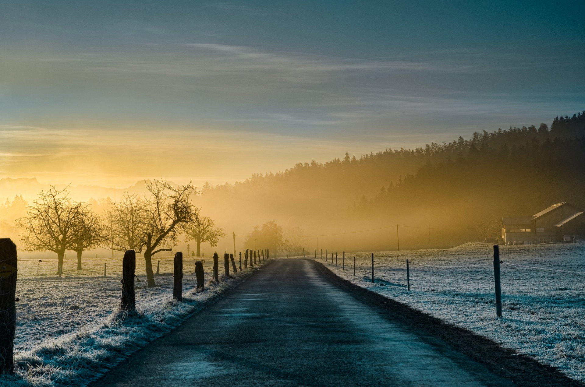 natura mattina strada nebbia inio