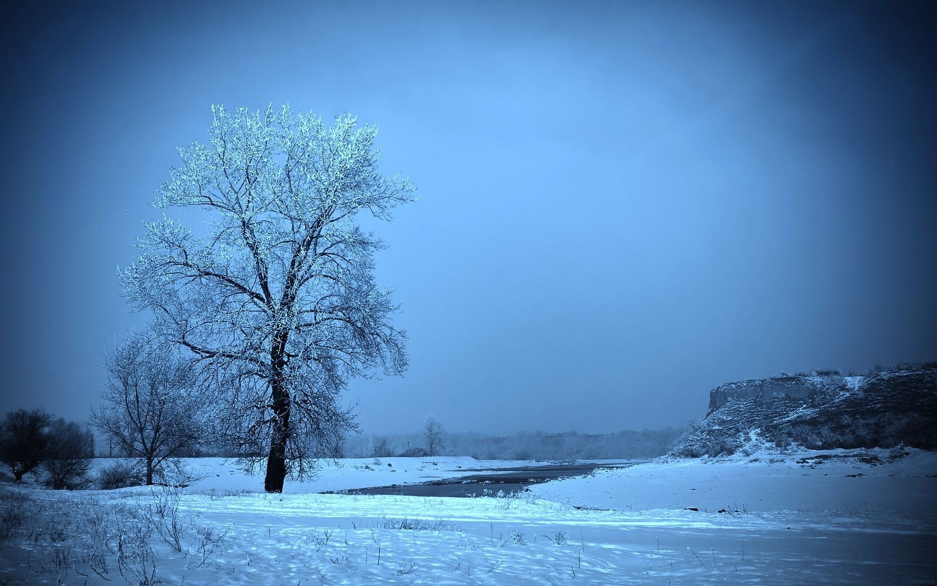 hiver neige givre arbre champ toboggan