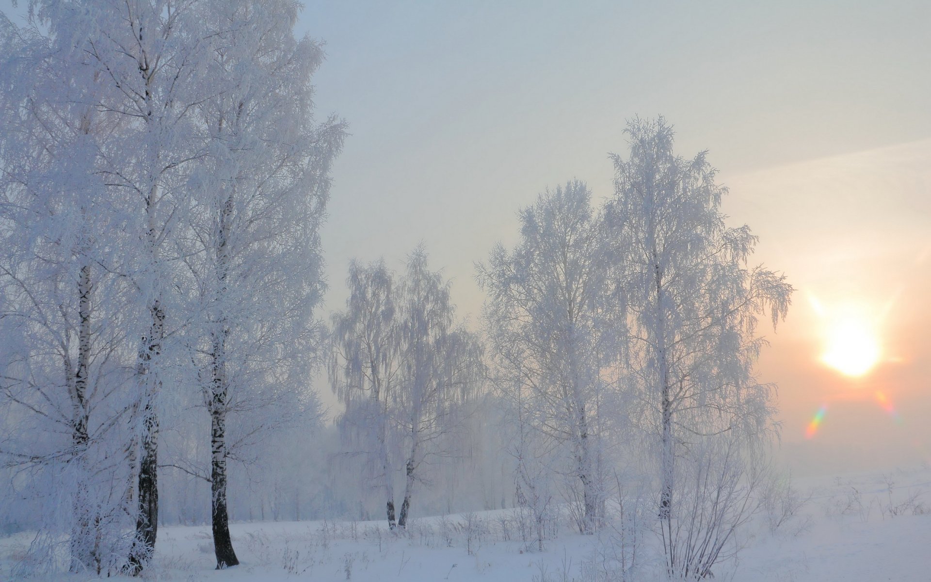 invierno mañana nieve