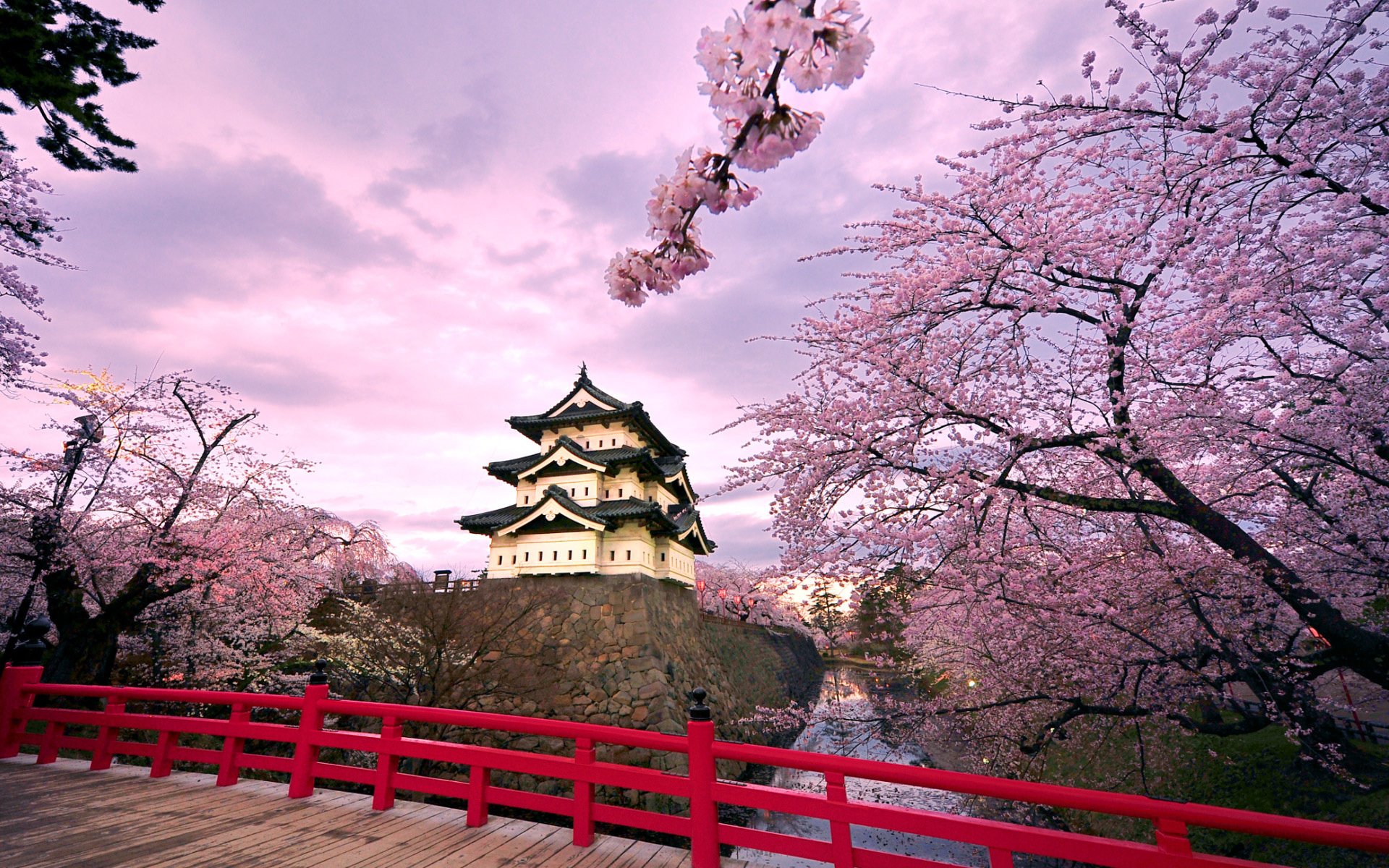 japan hirosaki castle tree sakura bloom bridge pond sky cloud