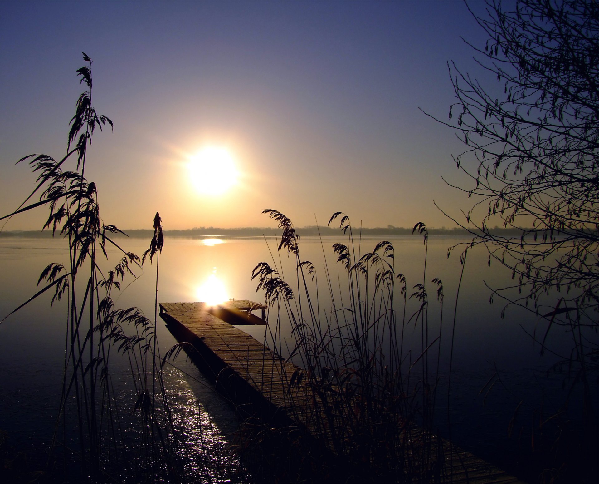 night sun sunset cloudless sky lake reeds tree wood bridge silence horizon