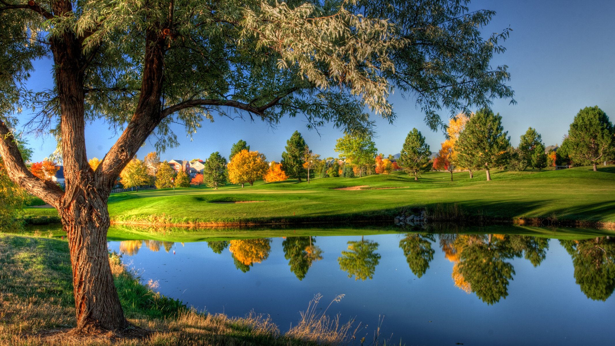 nature autumn river house