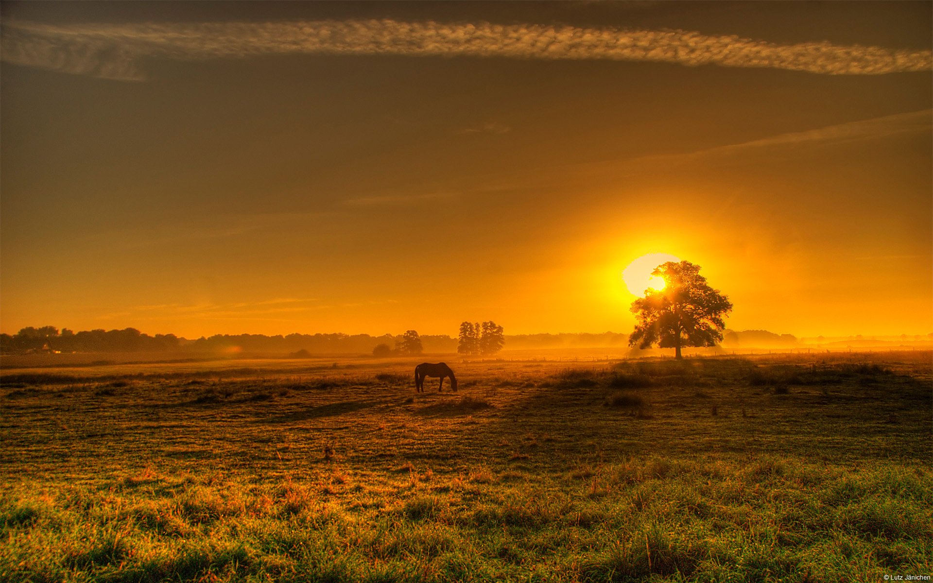 caballo puesta de sol campo