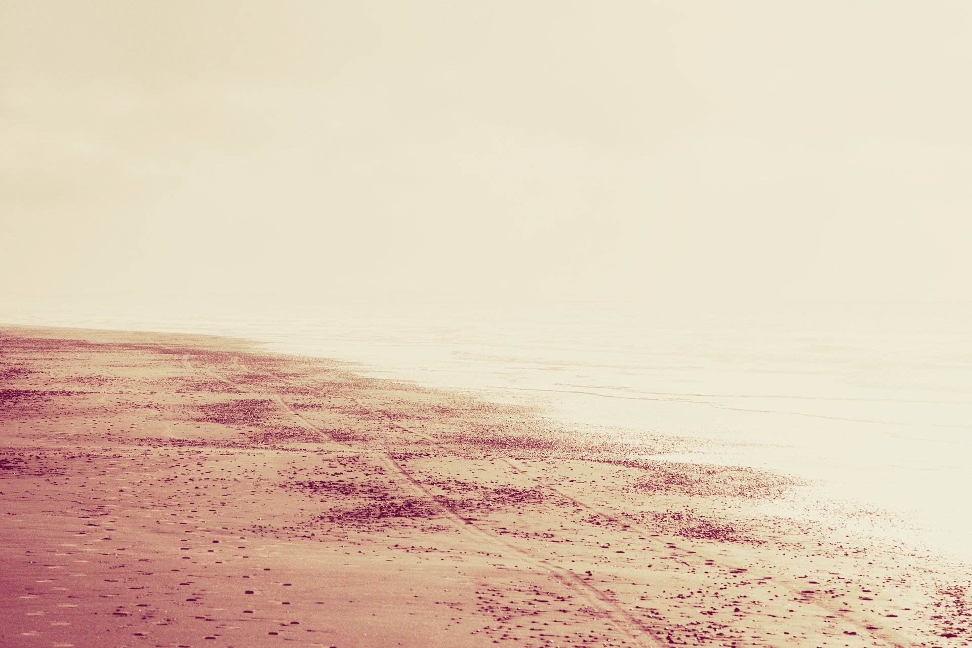 natur landschaft strand sand spuren meer wasser sonne licht druckt