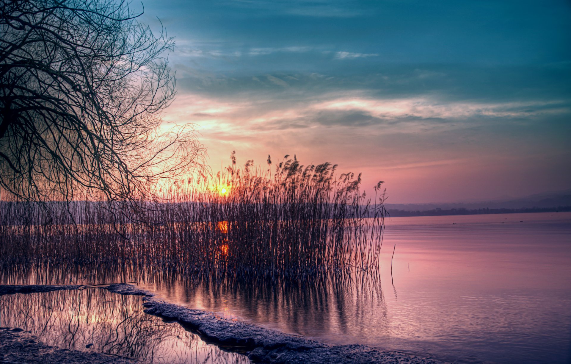 night twilight pink sunset sun blue sky lake reeds beach silence