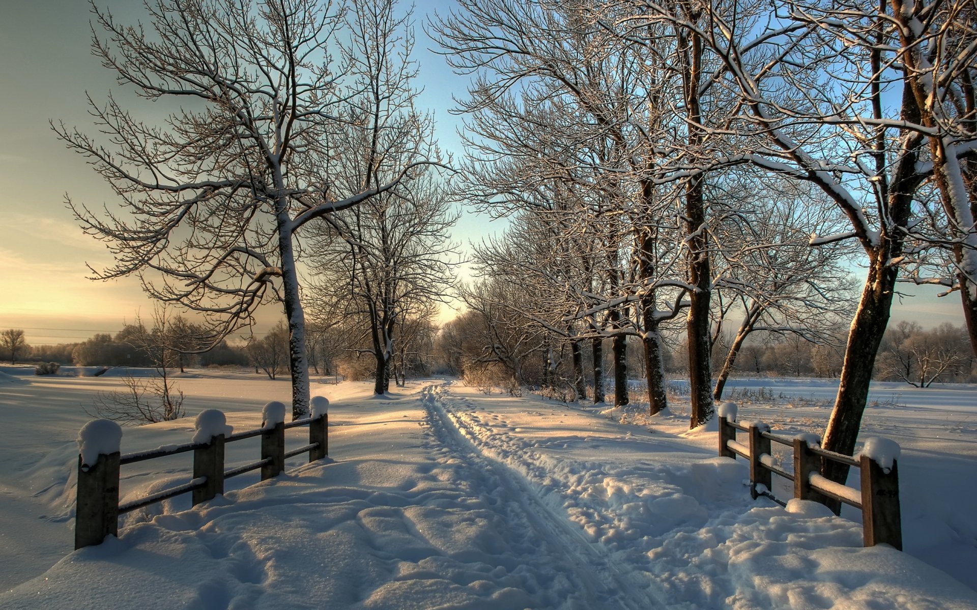 invierno nieve árboles