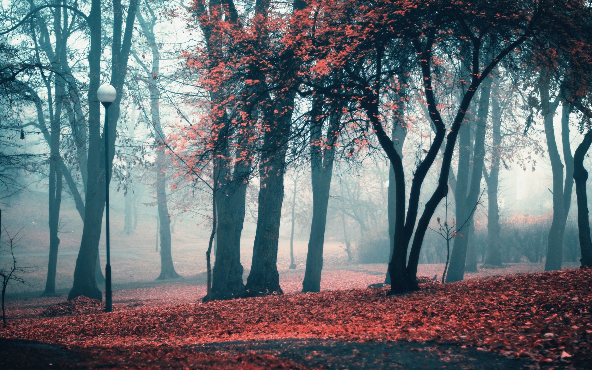 parco lanterna alberi foglie autunno