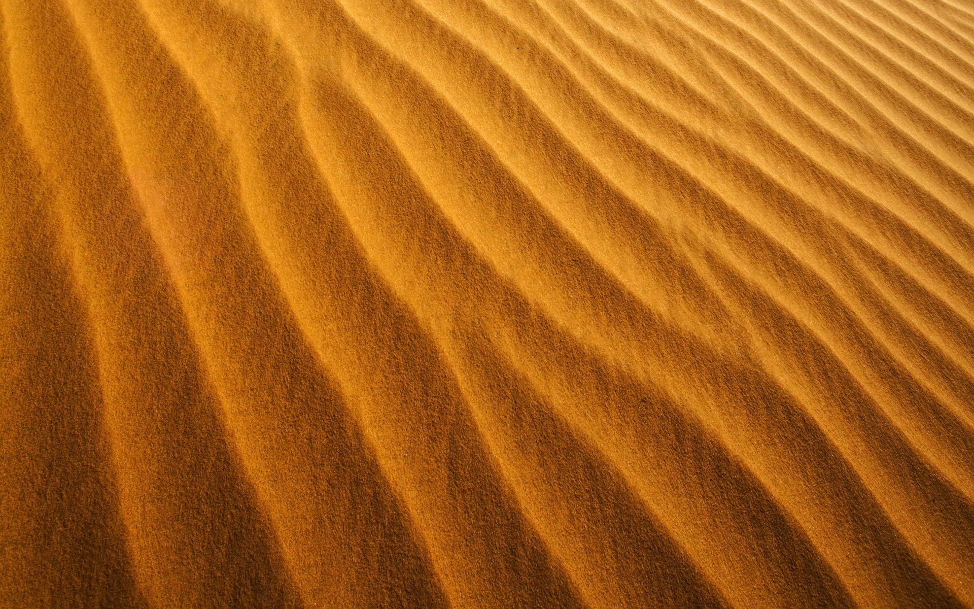 granos de arena viento polvo amarillo amarillo naranja naranja fondos de pantalla minimalismo textura texturas fondos de pantalla de arena fondos de pantalla de playa fondos de pantalla fondos de pantalla mejores fondos de pantalla fondos de pantalla fondos de pantalla de pantalla ancha