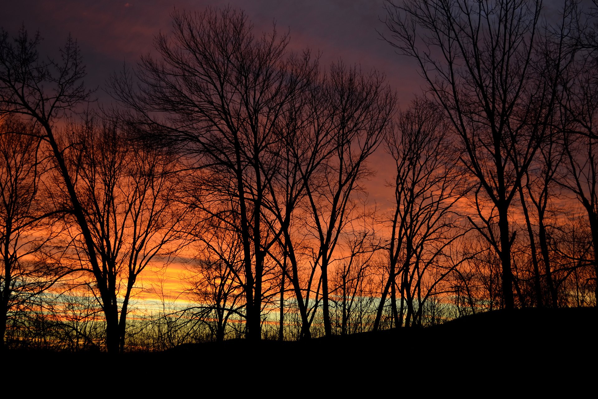 natura sera tramonto crepuscolo cielo alberi silueti