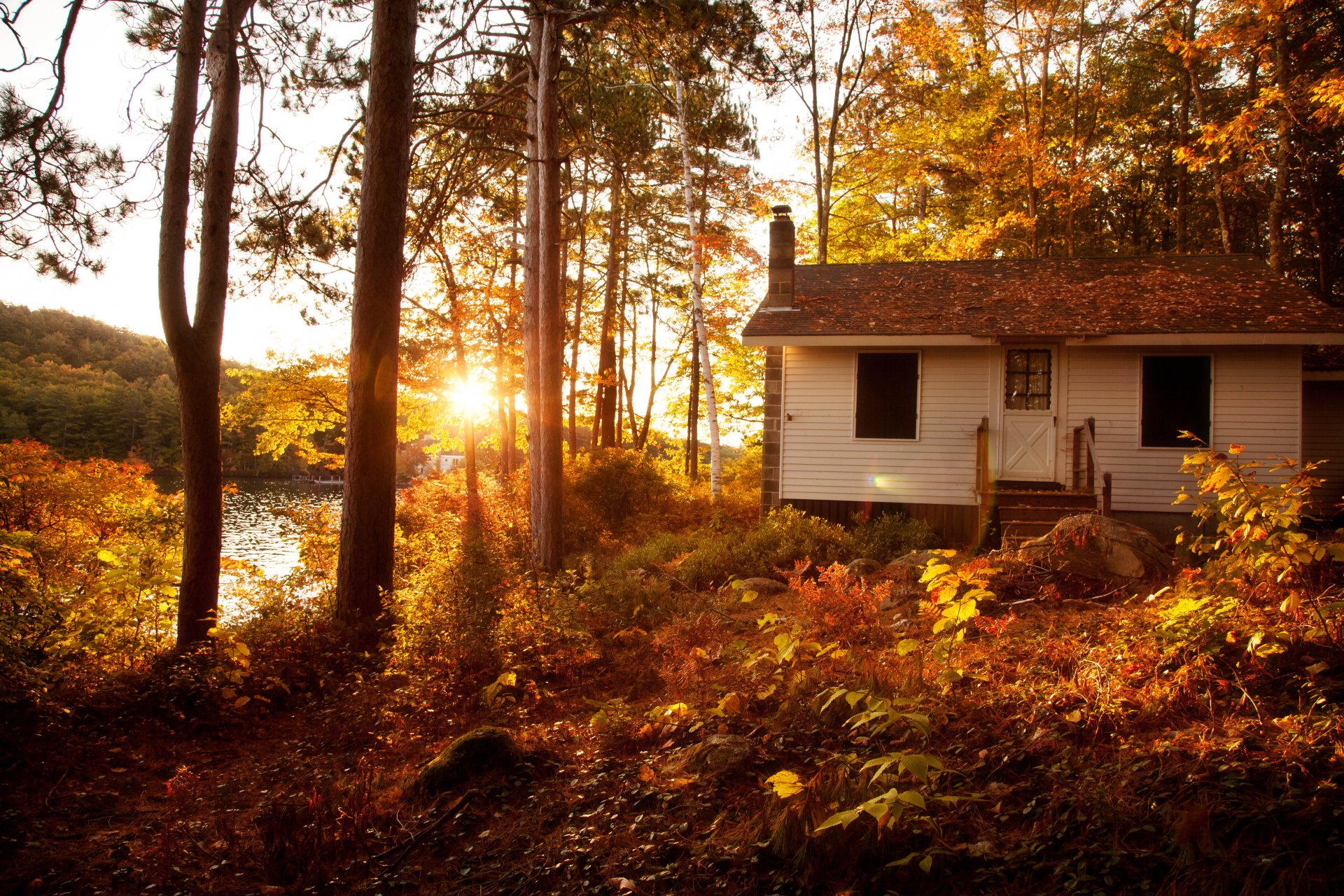 natur landschaft wald bäume sonne sonnenuntergang herbst villa haus architektur vila haus ansicht cool schön