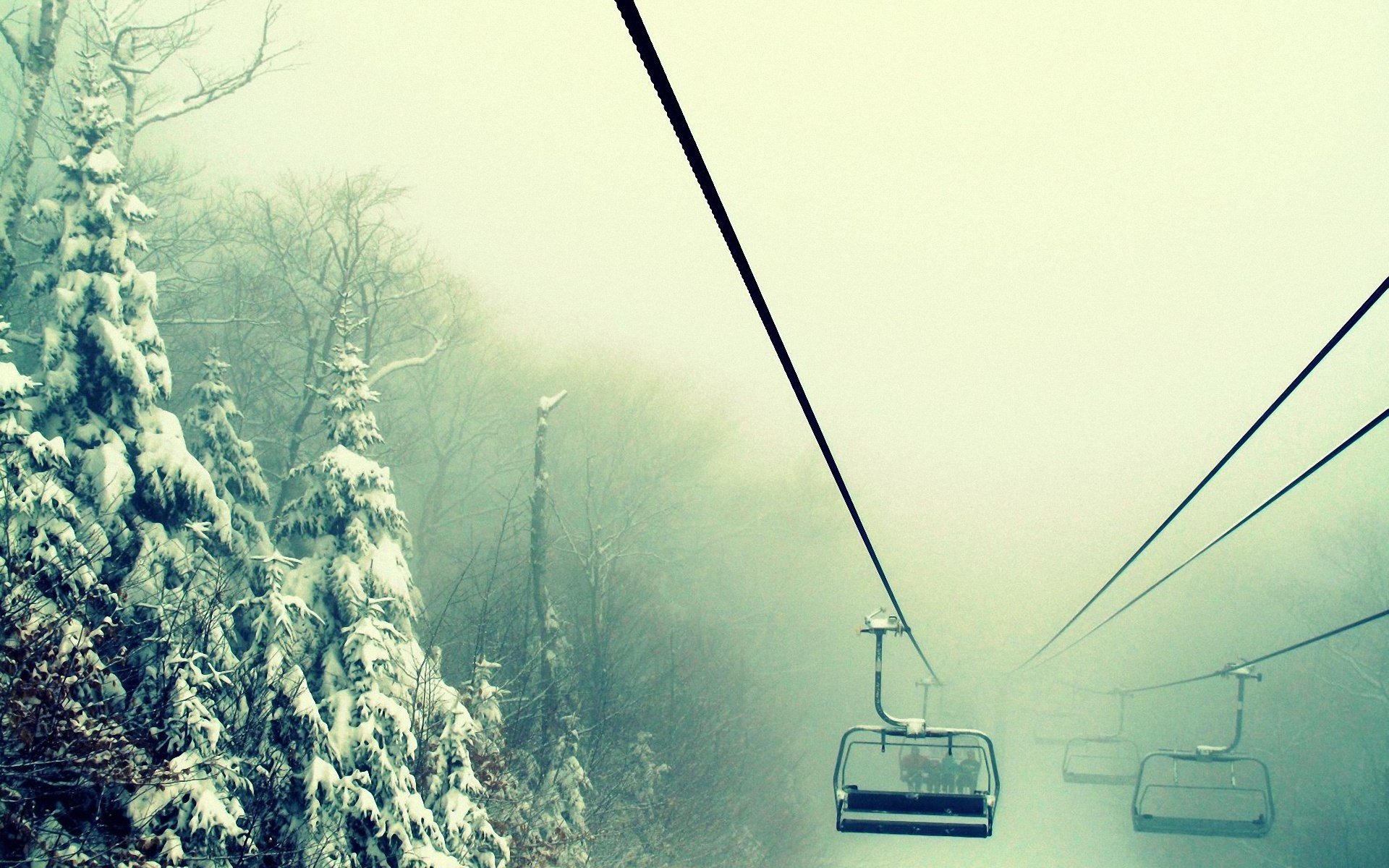 nature ski lift rise up fog winter drifts forest wallpaper