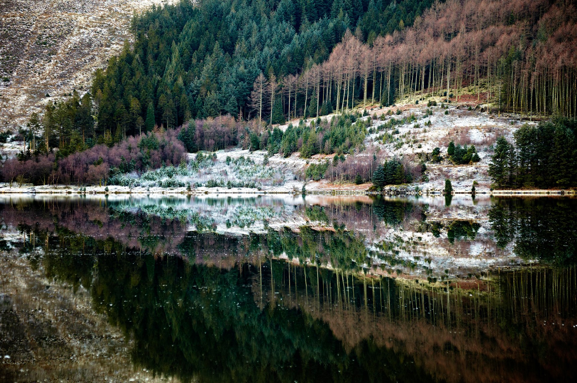 natura las rzeka odbicie