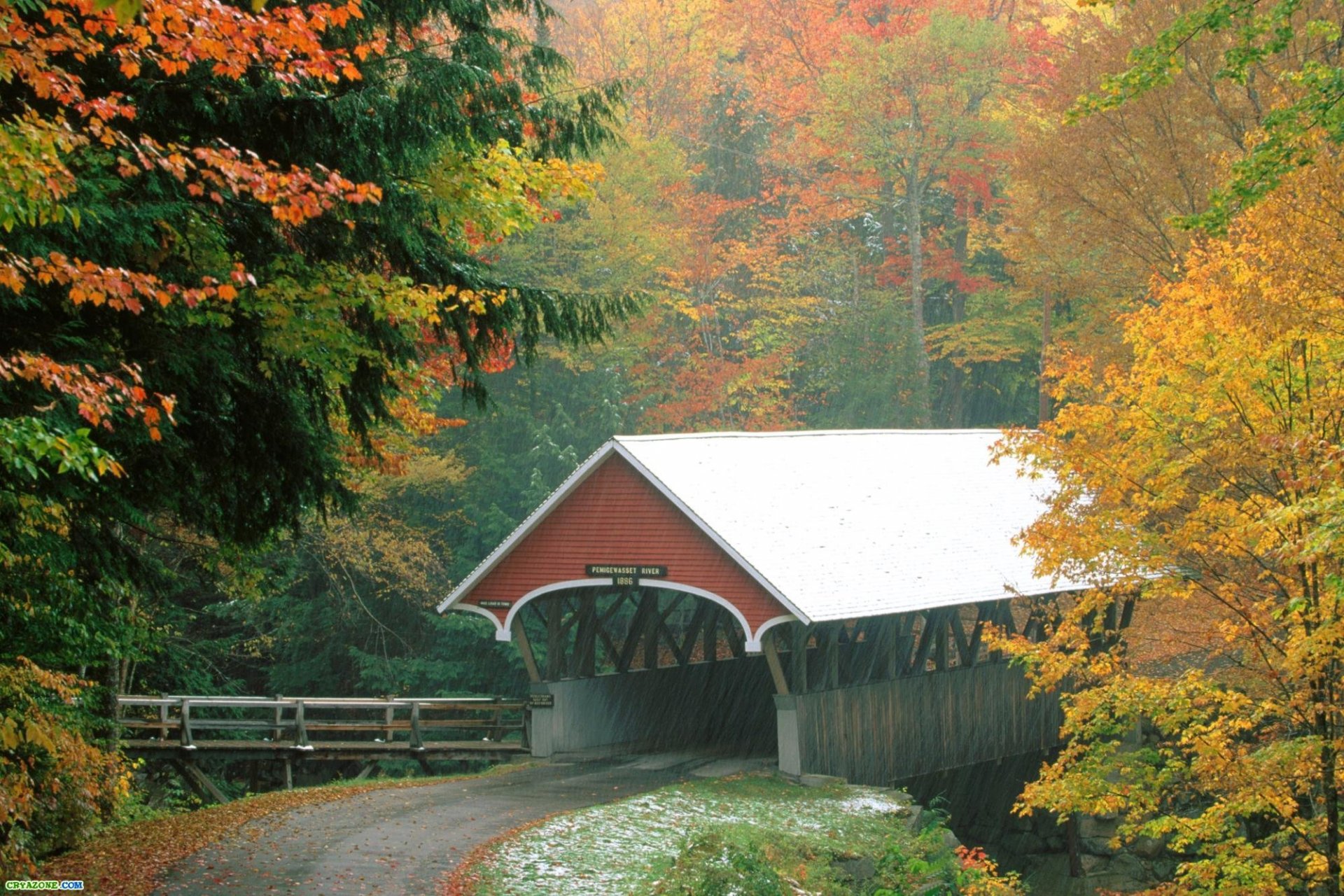 wald brücke herbst regen